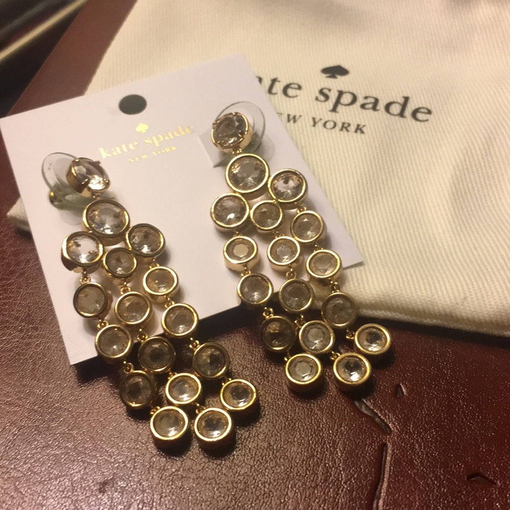 🎉HP🎉 NWT cascade drop earrings